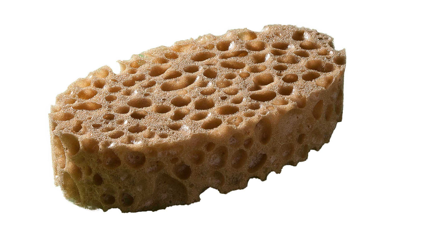 Pflegeschwamm